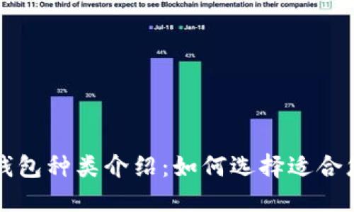 比特币钱包种类介绍:如何选择适合您的钱包
