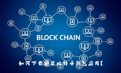 如何下载安装比特币钱包应用?