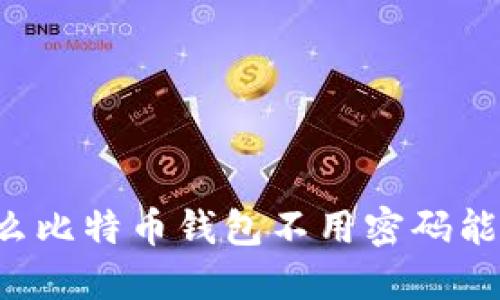 为什么比特币钱包不用密码能打开?