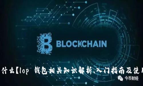 op 钱包是什么?|op 钱包相关知识解析、入门指南及使用技巧指南