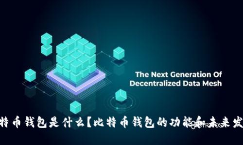 09年比特币钱包是什么?比特币钱包的功能和未来发展如何?