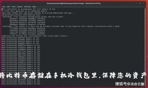 如何将比特币存储在手机冷钱包里,保障您的资产安全?