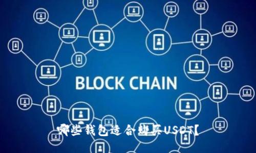 哪些钱包适合购买USDT?