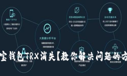 波宝钱包TRX消失?教你解决问题的方法
