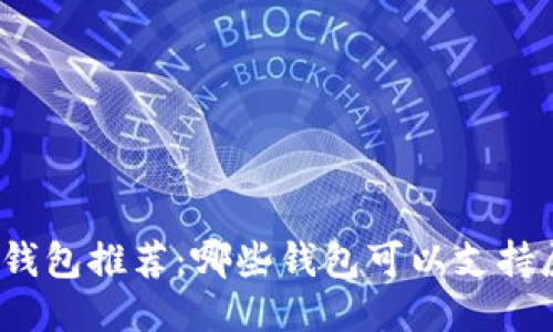 屎币钱包推荐:哪些钱包可以支持屎币?
