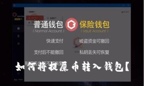 如何将提屎币转入钱包?
