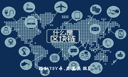 揭秘TSY币,是真是假?