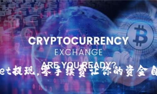 TPWallet提现,零手续费让你的资金自由行动
