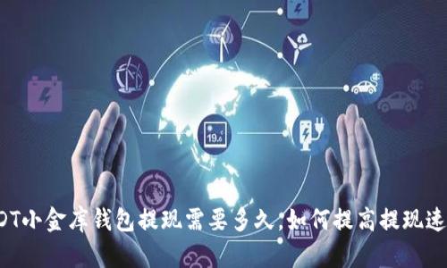 USDT小金库钱包提现需要多久,如何提高提现速度?