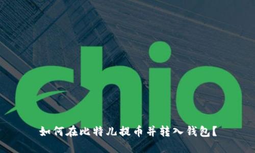 如何在比特儿提币并转入钱包?