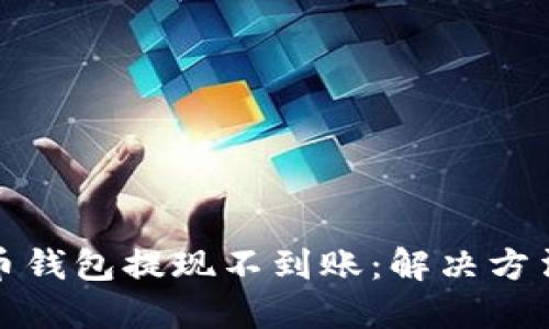 瑞波币钱包提现不到账:解决方法大全