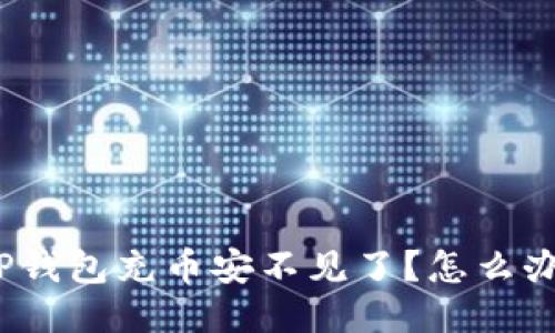 TP钱包充币安不见了?怎么办?