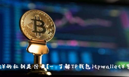 TP钱包(tpwallet)的私钥是什么?- 了解TP钱包(tpwallet)节省您的数字货币
