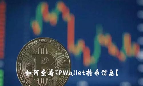 如何查看TPWallet持币信息?
