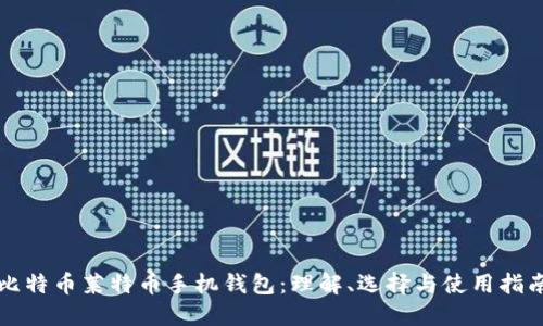 比特币莱特币手机钱包:理解、选择与使用指南