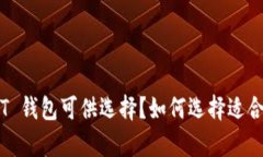  有哪些优质的 USDT 钱包可