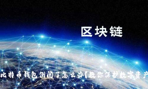 比特币钱包倒闭了怎么办?教你保护数字资产