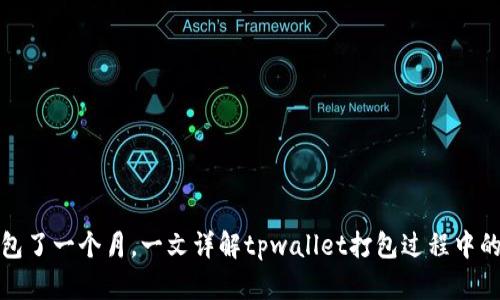 tpwallet打包了一个月,一文详解tpwallet打包过程中的技术和困难