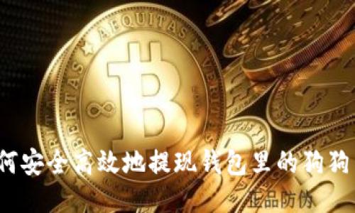 如何安全高效地提现钱包里的狗狗币?