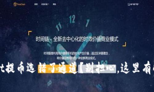 TPWallet提币选错了通道?别担心,这里有解决方案