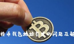 输错比特币钱包地址引发