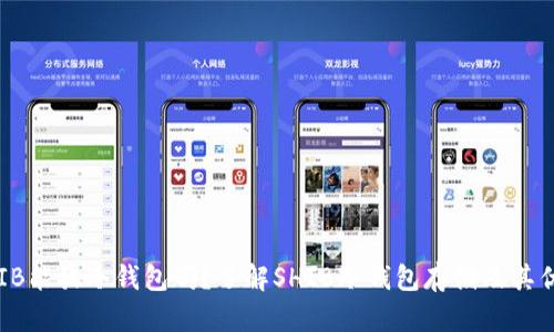 SHIB能放冷钱包吗?了解SHIB冷钱包存储及其优势