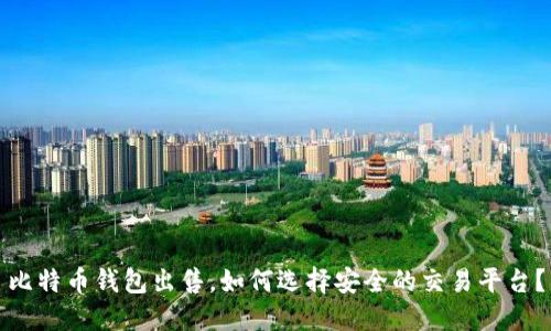 比特币钱包出售,如何选择安全的交易平台?