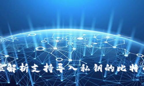 标题
全方位解析支持导入私钥的比特币钱包