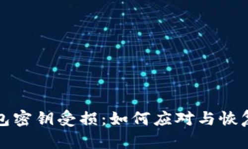 比特币钱包密钥受损:如何应对与恢复的全攻略