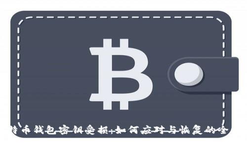 比特币钱包密钥受损:如何应对与恢复的全攻略