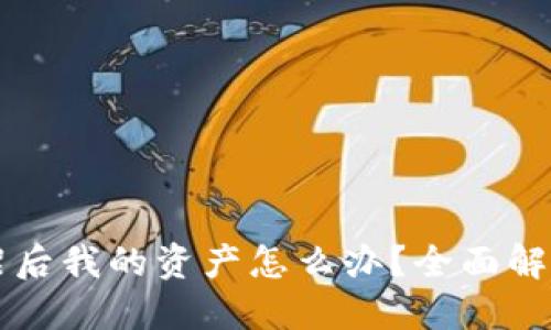 TPWallet下架后我的资产怎么办?全面解读与应对策略