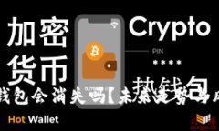 狗狗币钱包会消失吗？未