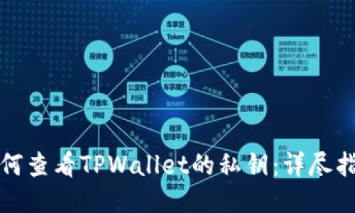 如何查看TPWallet的私钥:详尽指南