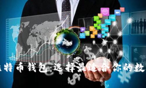 深入了解常见比特币钱包:选择最适合你的数字资产安全方案