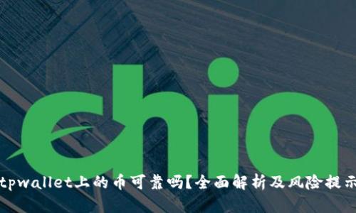 tpwallet上的币可靠吗?全面解析及风险提示