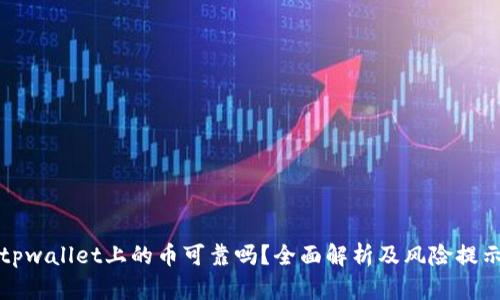 tpwallet上的币可靠吗?全面解析及风险提示