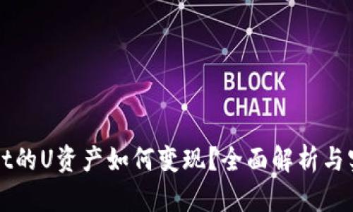 TPWallet的U资产如何变现?全面解析与实用指南