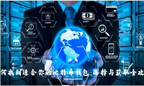 如何找到适合你的比特币钱包:选择与获取全攻略