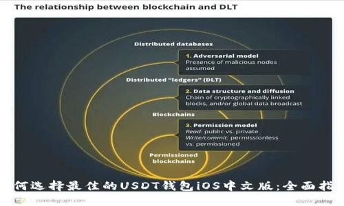 如何选择最佳的USDT钱包iOS中文版:全面指南