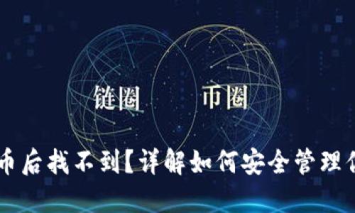 TPWallet买币后找不到?详解如何安全管理你的数字资产