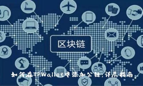 如何在TPWallet中添加公链:详尽指南