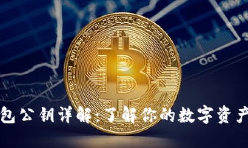 标题
比特币钱包公钥详解:了解你的数字资产如何运作