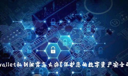 标题: tpwallet私钥泄露怎么办?保护您的数字资产安全的实用指南