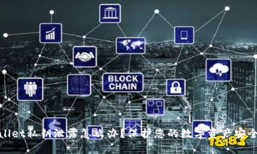 标题: tpwallet私钥泄露怎么办?保护您的数字资产安全的实用指南