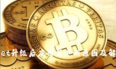 TPWallet升级后应用消失的原