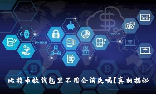 比特币放钱包里不用会消失吗?真相揭秘