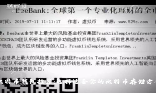 比特币钱包推荐:选择适合你的比特币存储方案