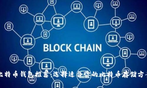 比特币钱包推荐:选择适合你的比特币存储方案