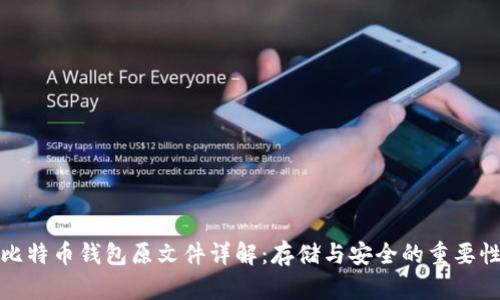 比特币钱包原文件详解:存储与安全的重要性