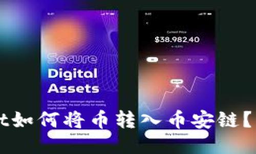 TPWallet如何将币转入币安链?详细指南